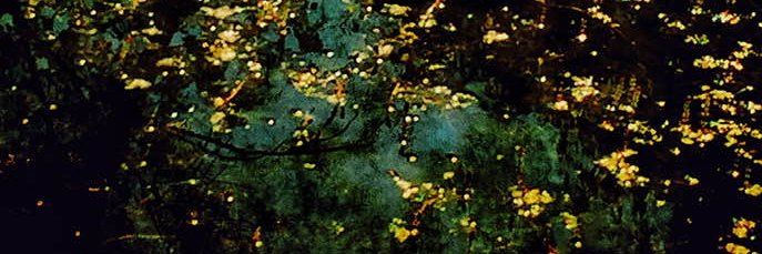 Bonki banner