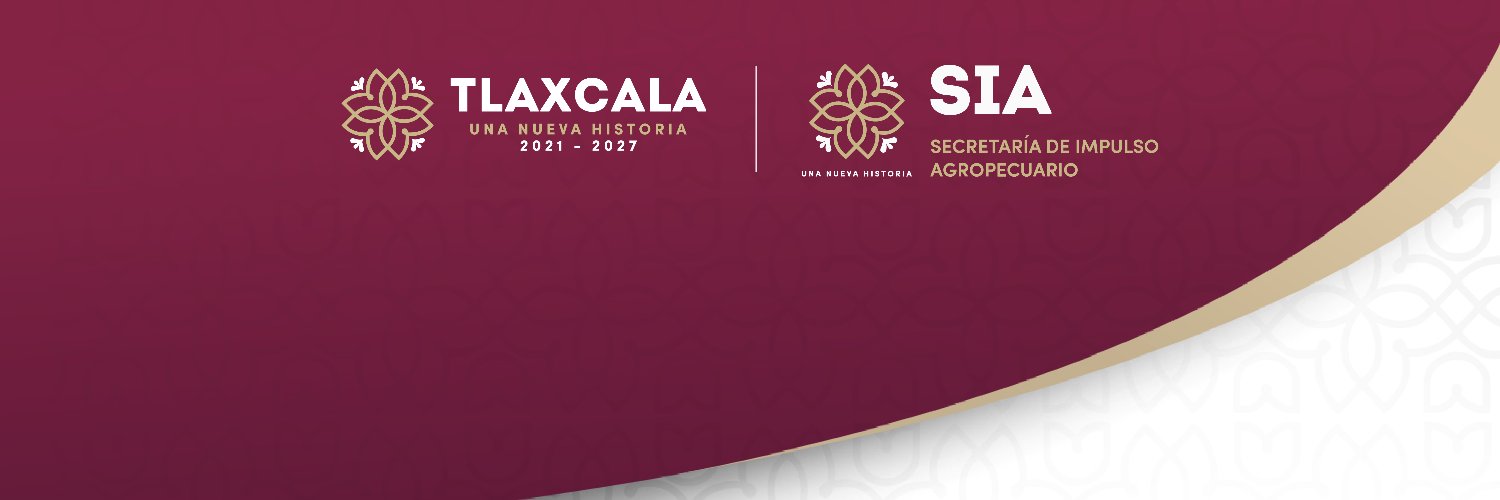 SIATLX's profile banner image