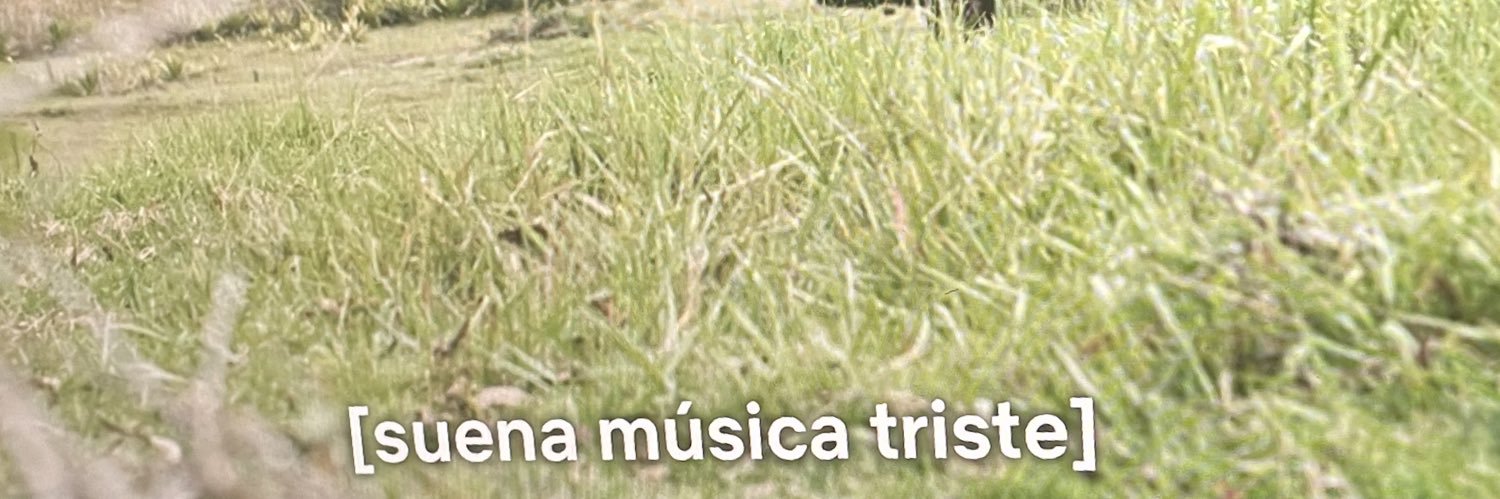 .- banner