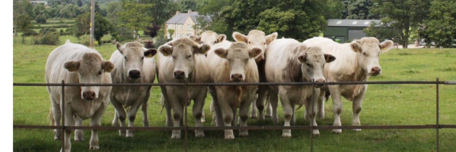 R&JYorkshires Finest banner