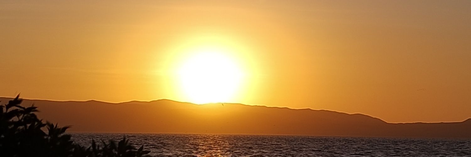 lunavane's profile banner image