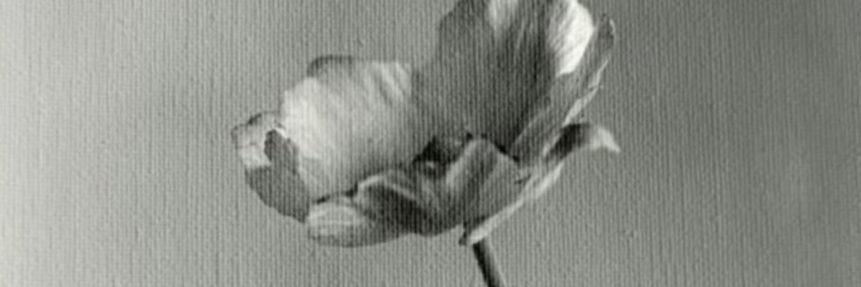 AzeeOR's profile banner image