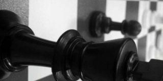 Delvo. banner