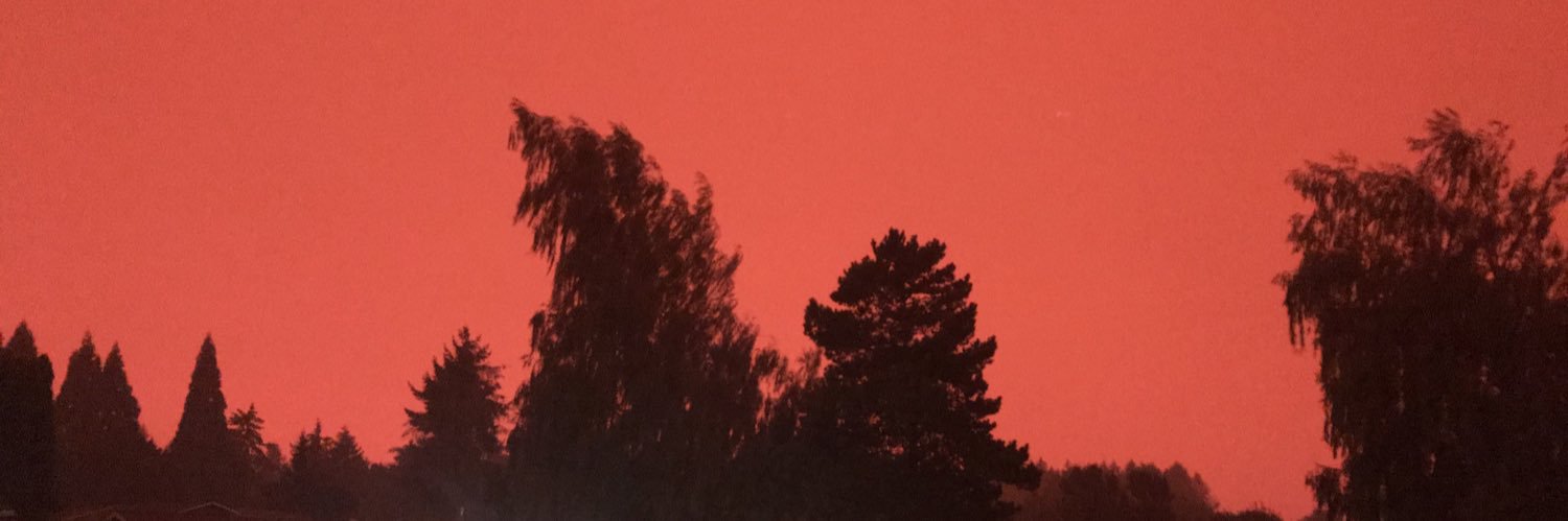 David Showalter banner