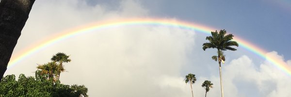 liltree Profile Banner