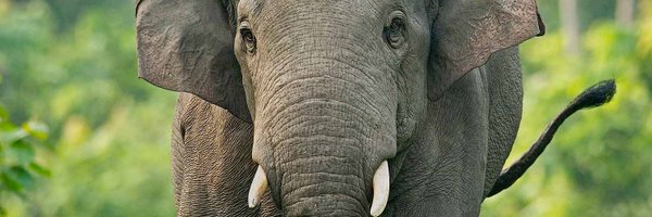 ConservNtn Profile Banner