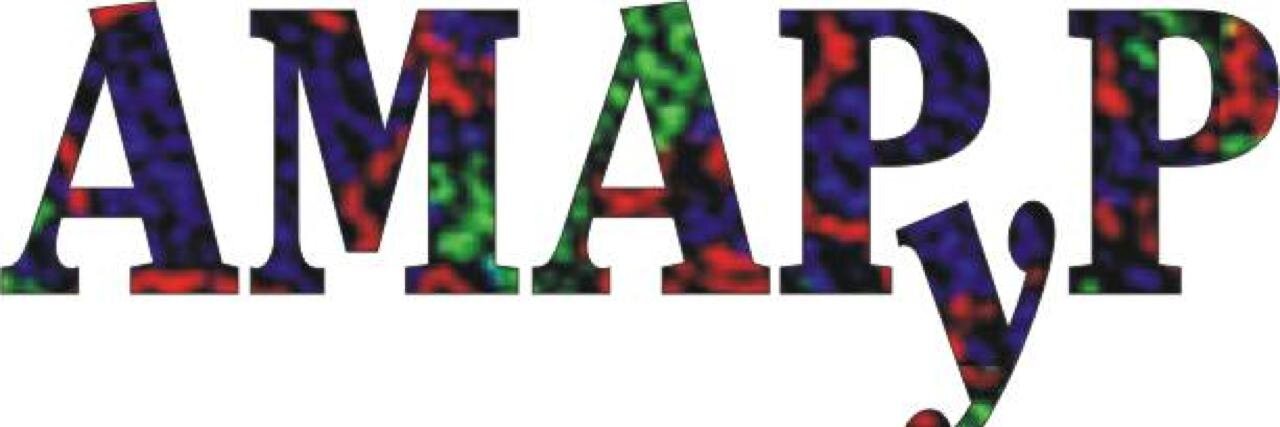 Asociación AMAPyP banner