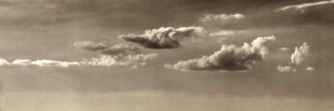 adrienne frejacques banner