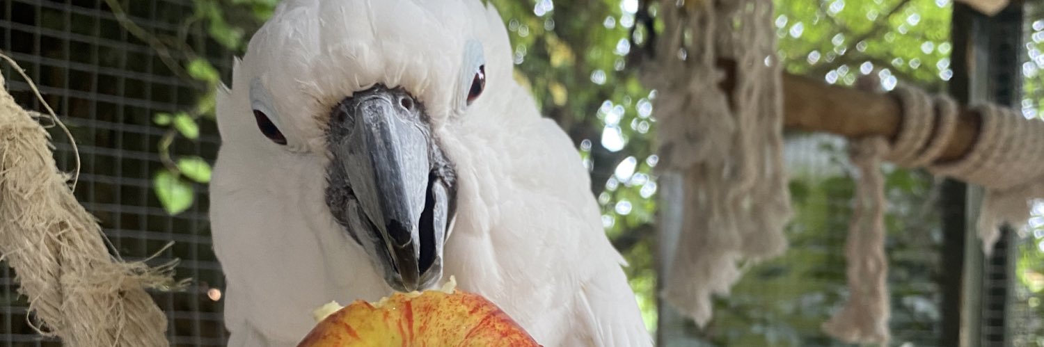 lisapassfield's profile banner image