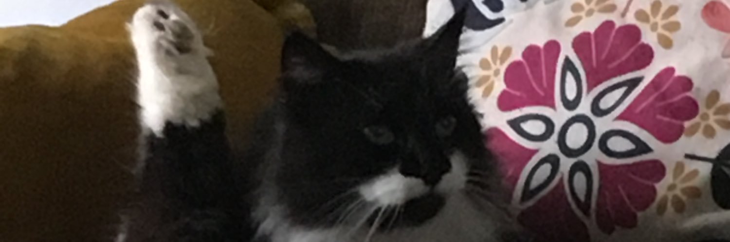 Medjiii's profile banner image
