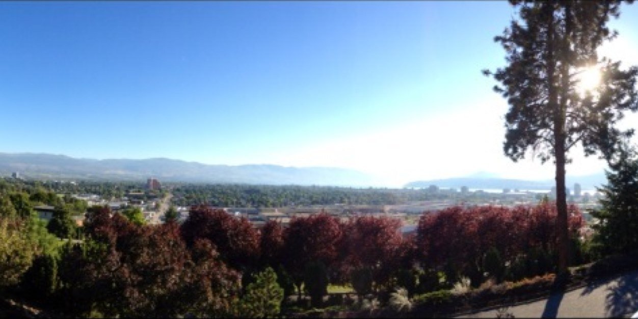 Brandon McMillan banner