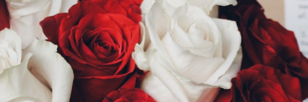 Isabel_Aurelia's profile banner image