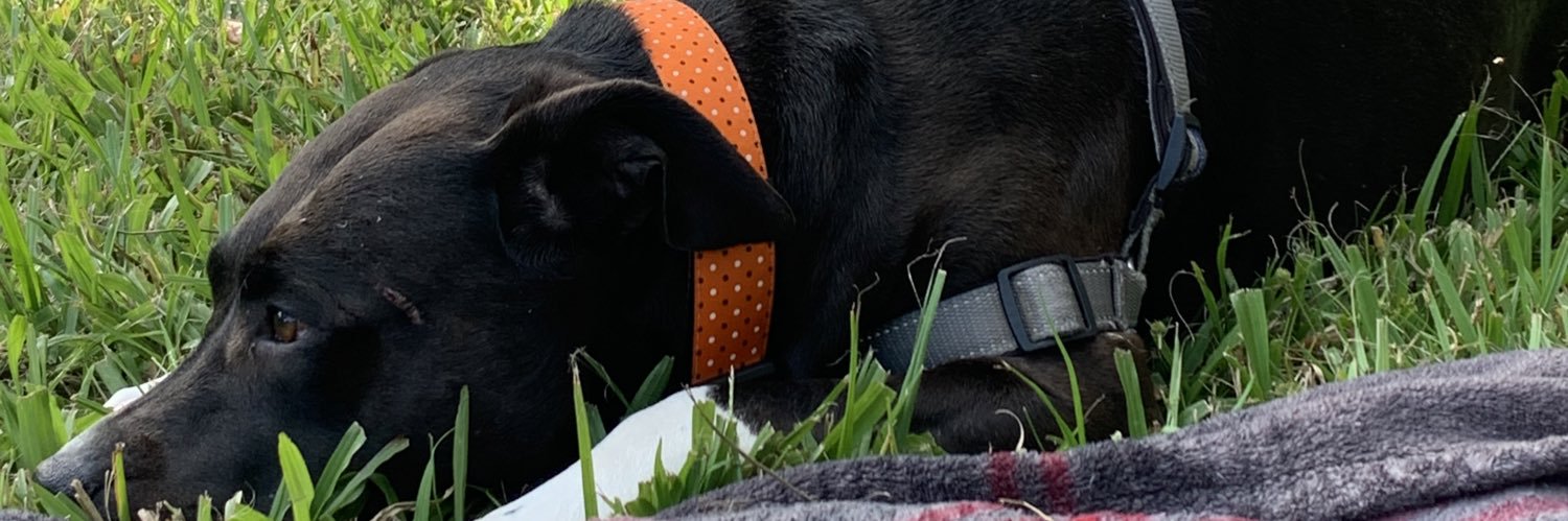 Chaseemills's profile banner image