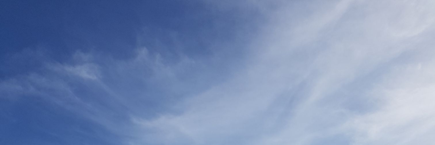 ChloeFox9's profile banner image