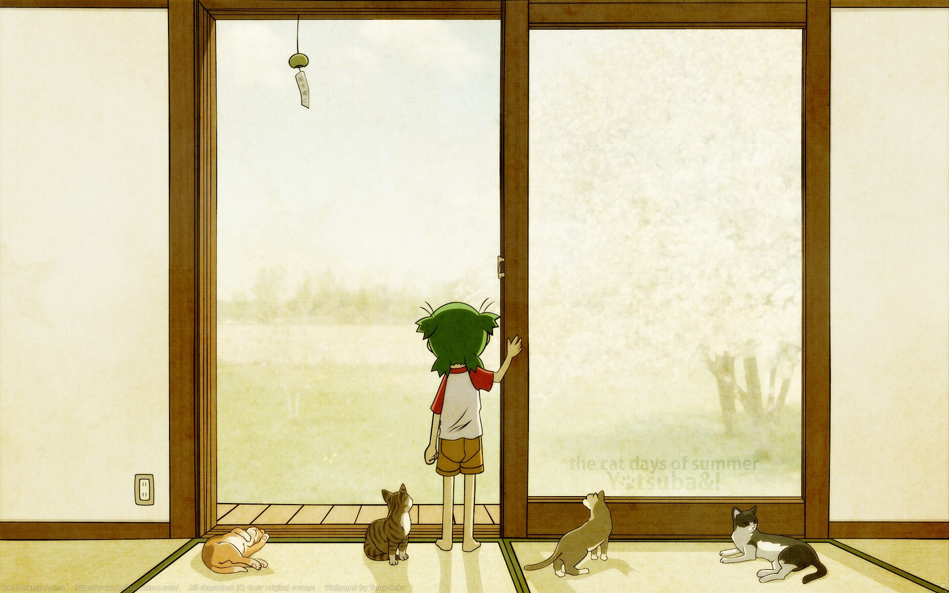 moao_m's profile banner image