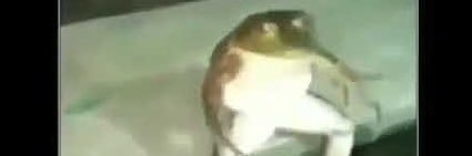GuillermoGaleot's profile banner image