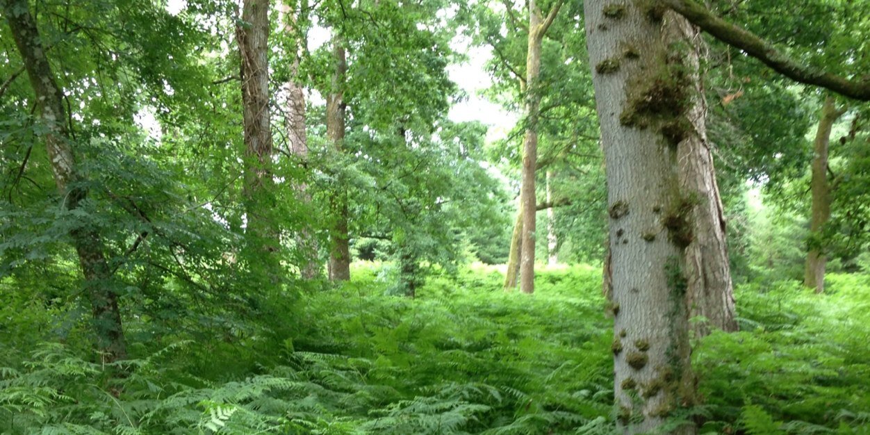 DanP1066's profile banner image