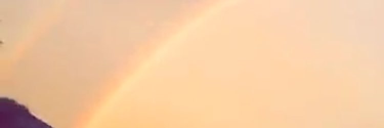 JReed966's profile banner image