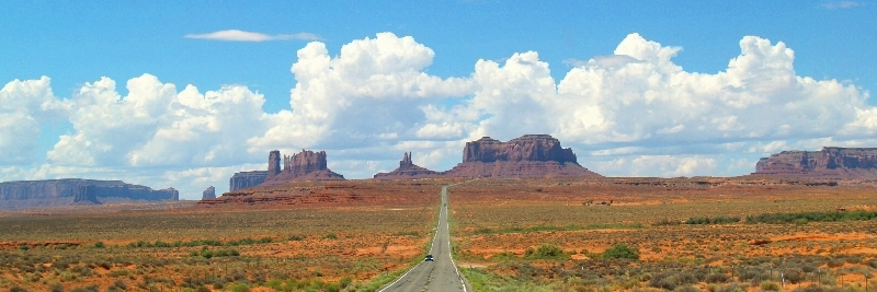 Brett Campbell banner