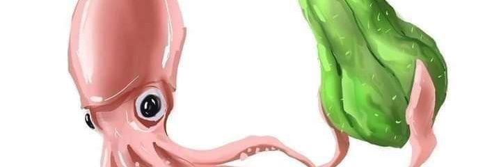 Suziadm's profile banner image