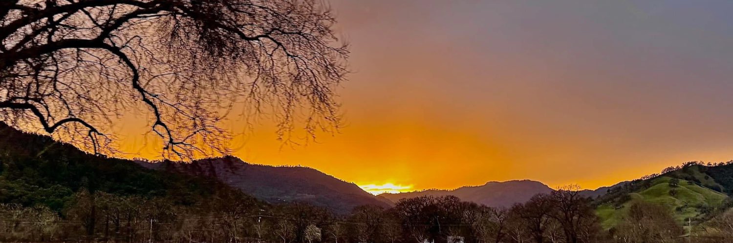 paularadell's profile banner image