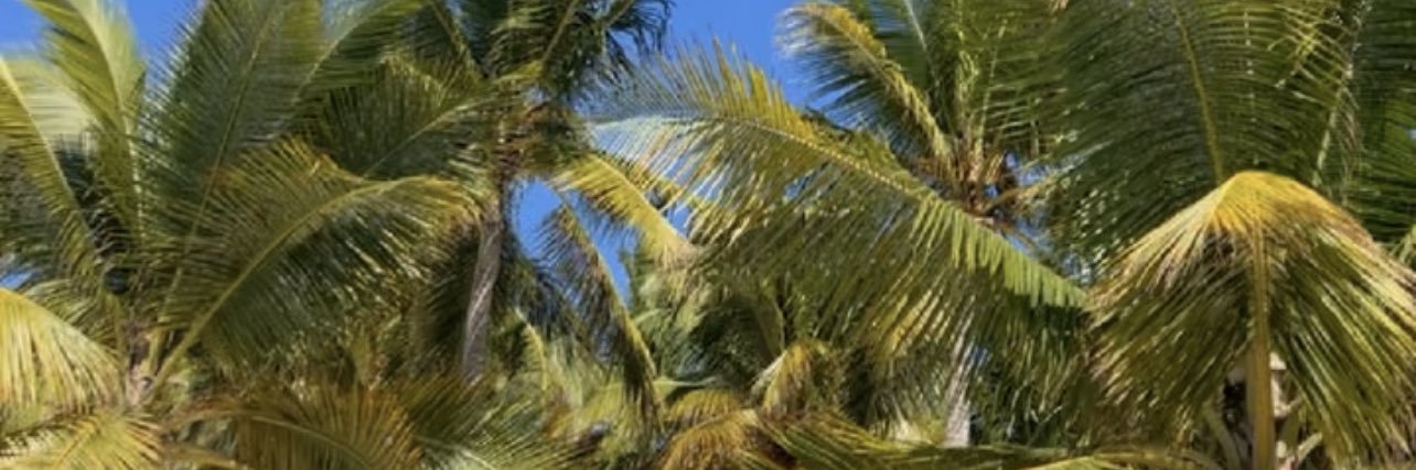 itzbintss's profile banner image