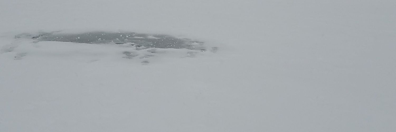 yeahifish's profile banner image