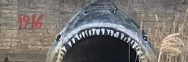 reeve_case Profile Banner