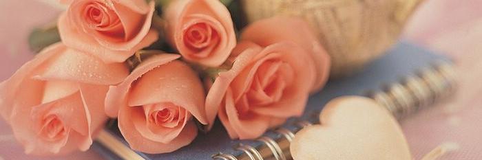 HapPyCaSaNovi's profile banner image