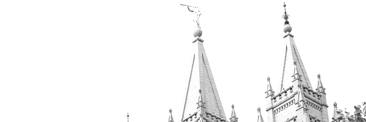 sarbearWilles's profile banner image
