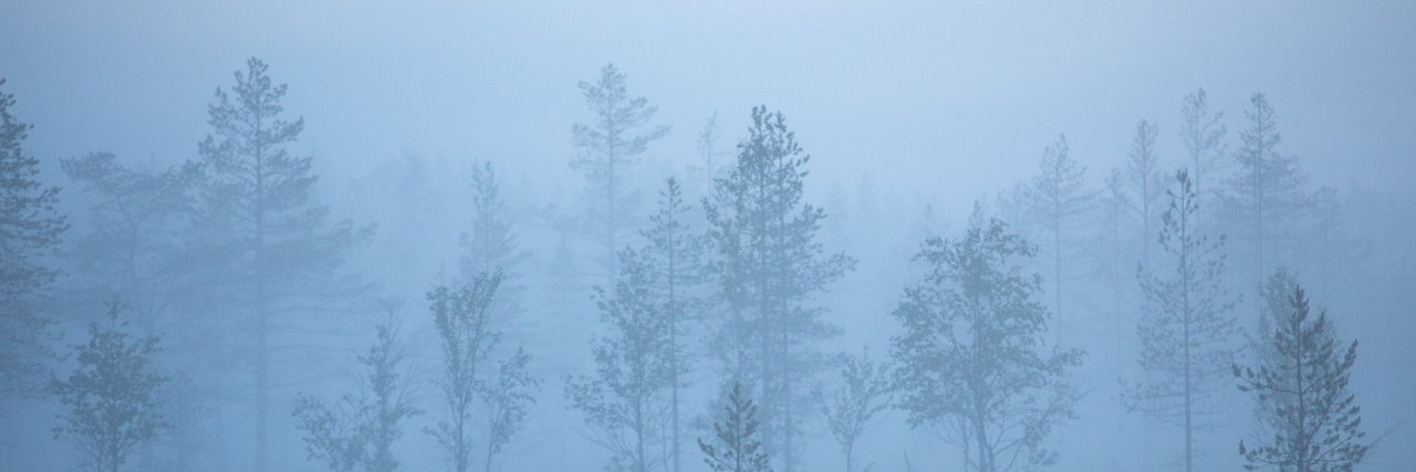 owlisdrunk's profile banner image