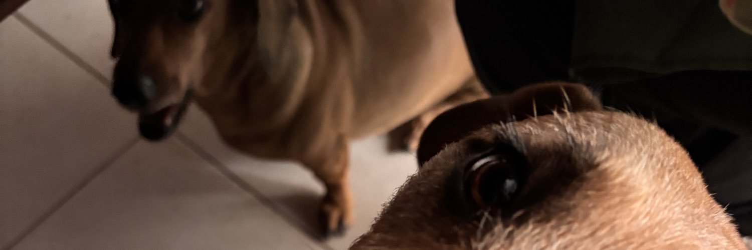 micasoledad99's profile banner image