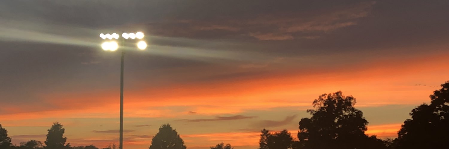 43FT Softball banner