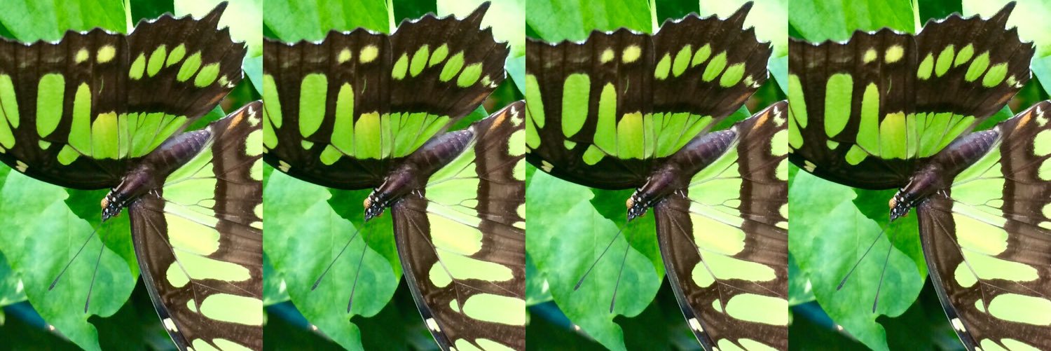 _nicolehederson's profile banner image