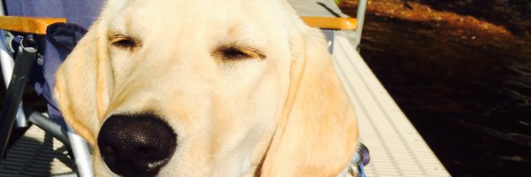 kyle_d Profile Banner