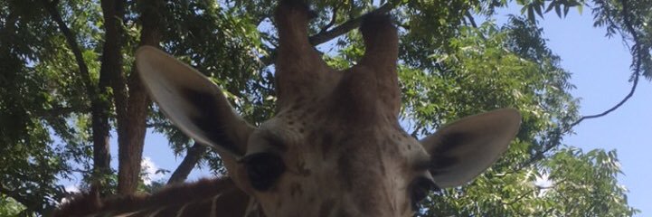 idewteach's profile banner image