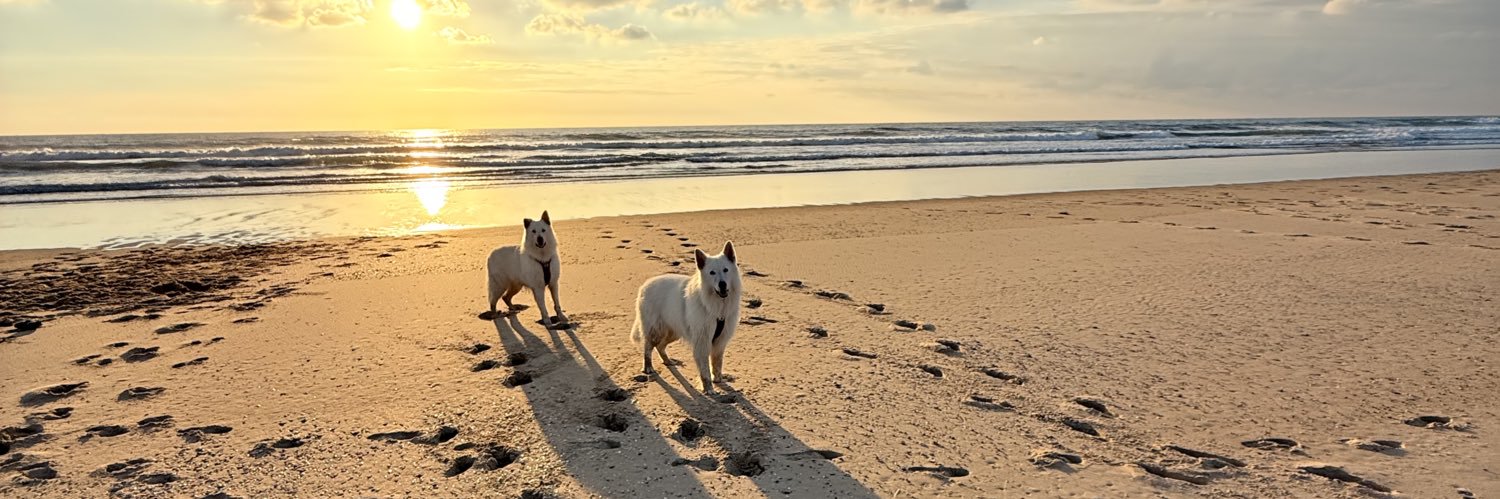 🎯Viser la Lune🍑 banner