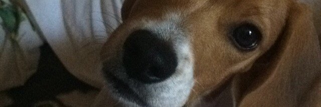 carebear1727's profile banner image
