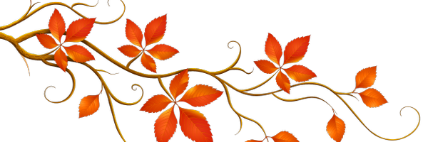 davetabler Profile Banner