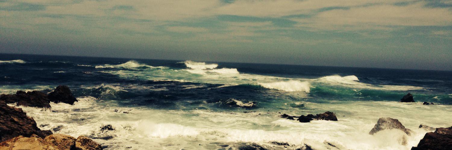 Maryclaire Dale banner