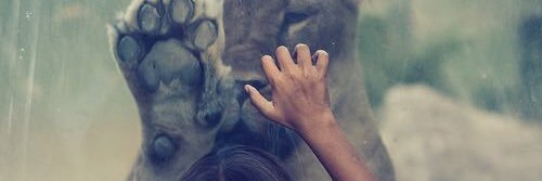 andrea_granda13's profile banner image