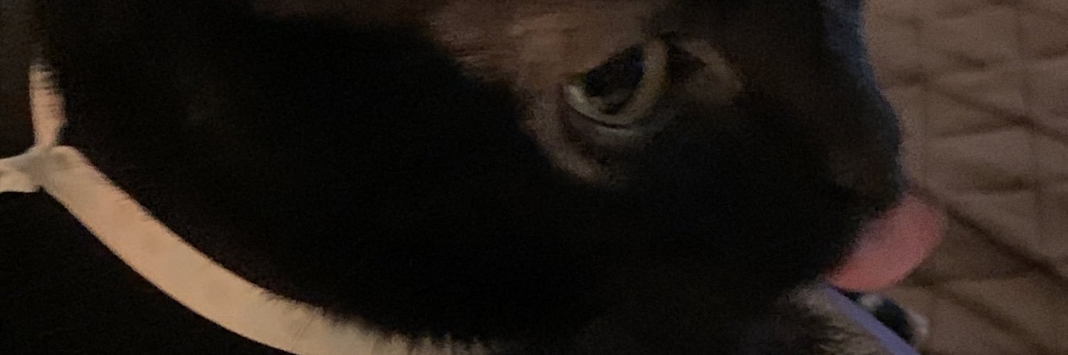 TonyPickett2's profile banner image