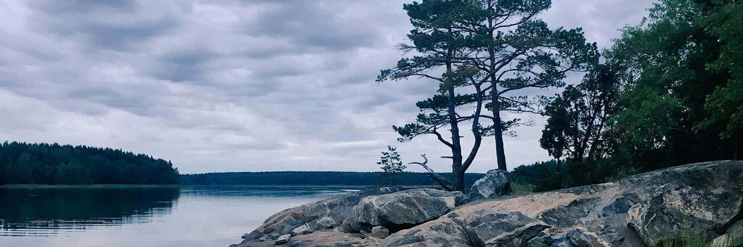 ak_varjus's profile banner image