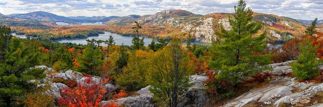 York Killarney banner