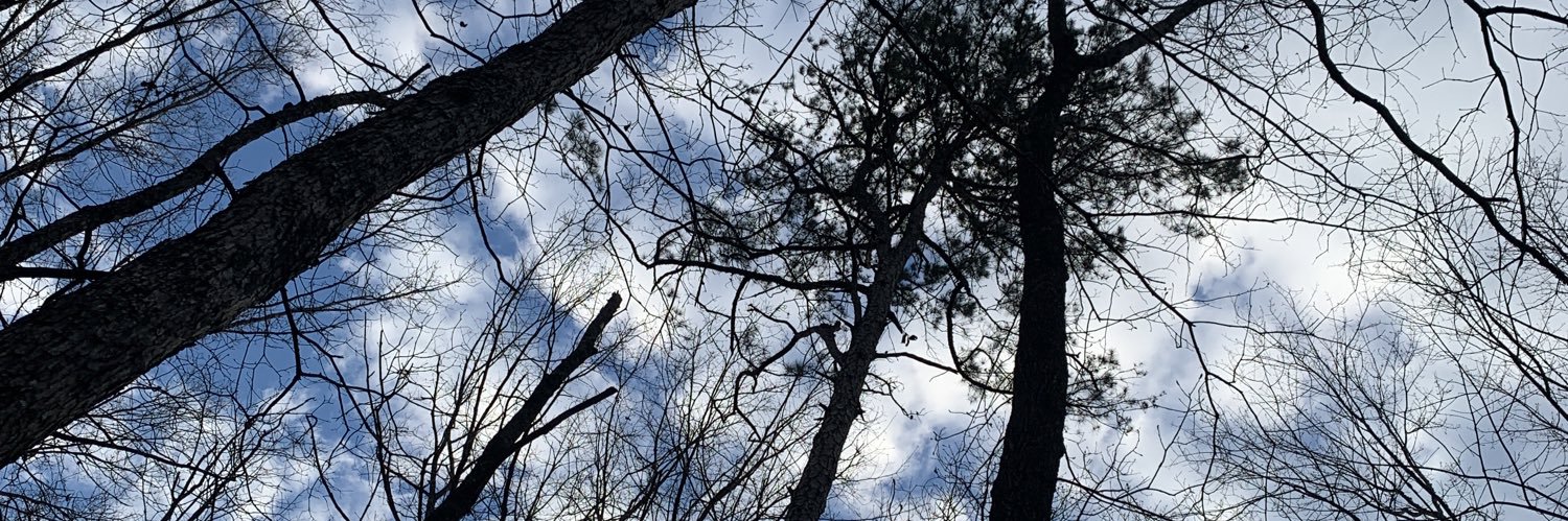 BrandiiSlays's profile banner image