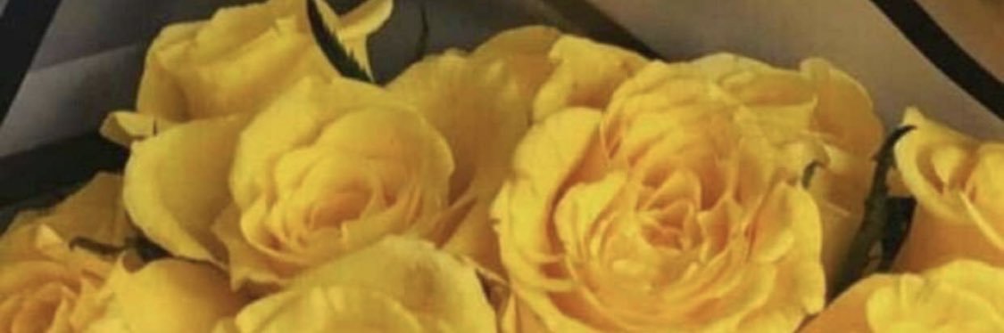 aiosha2's profile banner image