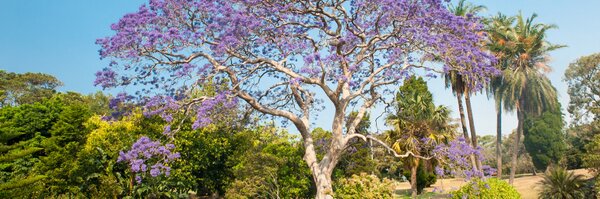 usui2102 Profile Banner