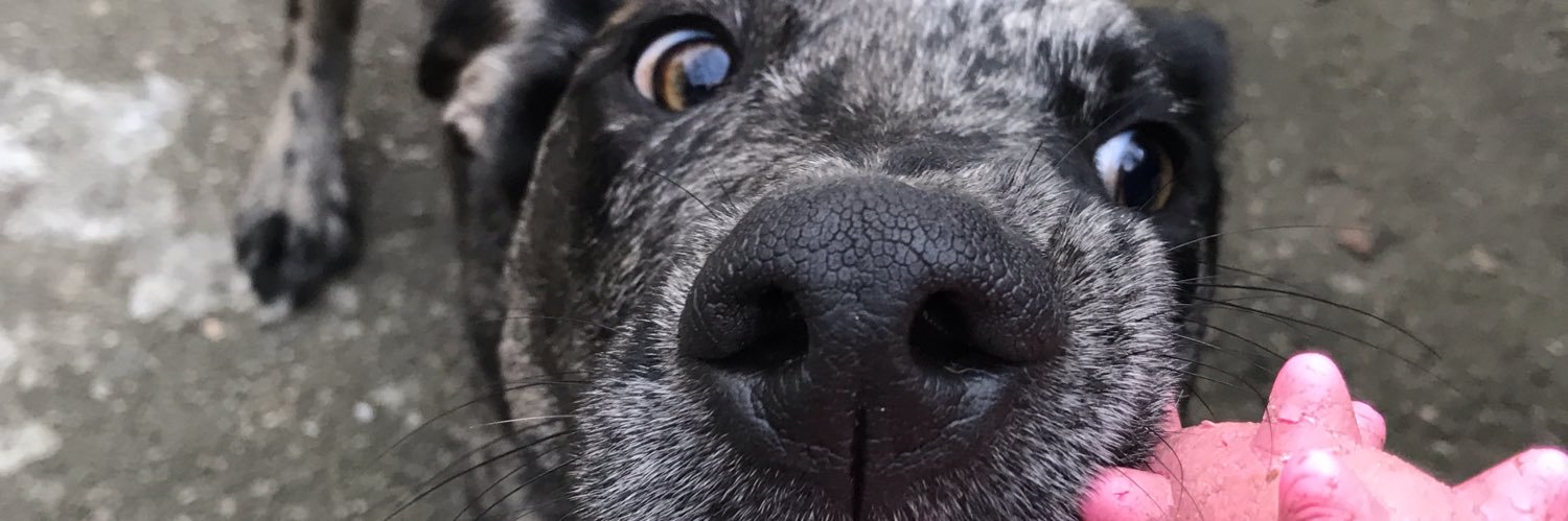 Cacinh0's profile banner image
