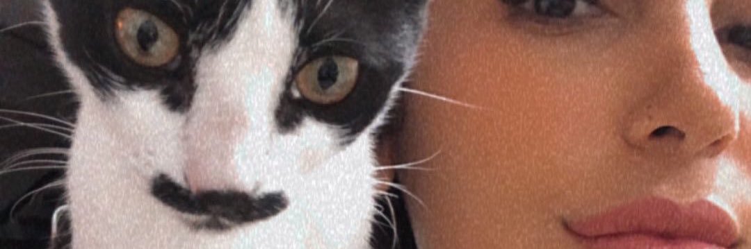 rociioavaloss's profile banner image