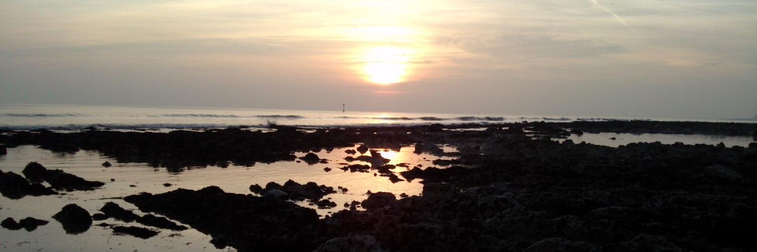 Marc's Reality banner